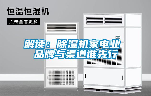 解讀:除濕機家電業 品牌與渠道誰先行