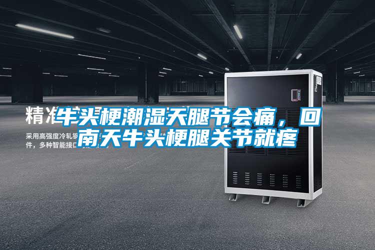 牛頭梗潮濕天腿節會痛,回南天牛頭梗腿關節就疼