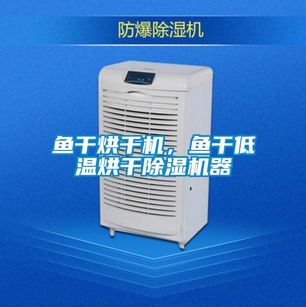 魚干烘干機(jī),魚干低溫烘干除濕機(jī)器