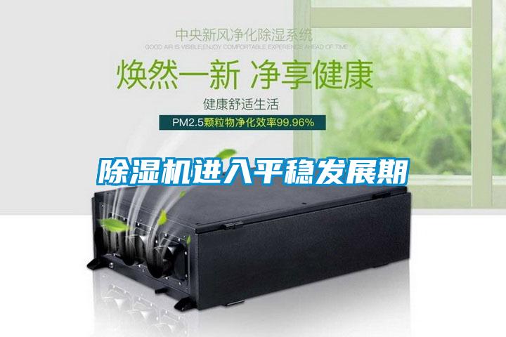 除濕機進入平穩(wěn)發(fā)展期