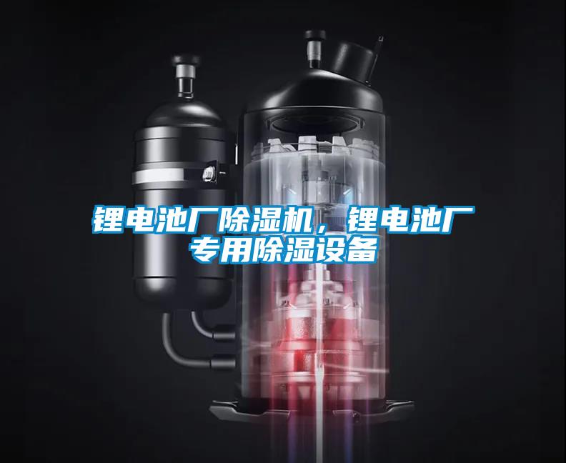 鋰電池廠除濕機(jī),鋰電池廠專用除濕設(shè)備