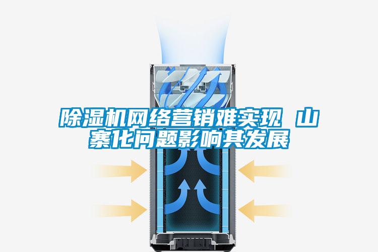 除濕機網(wǎng)絡(luò)營銷難實現(xiàn) 山寨化問題影響其發(fā)展