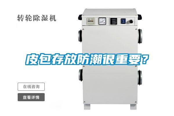 皮包存放防潮很重要?