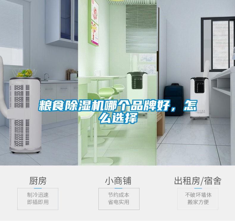 糧食除濕機哪個品牌好,怎么選擇