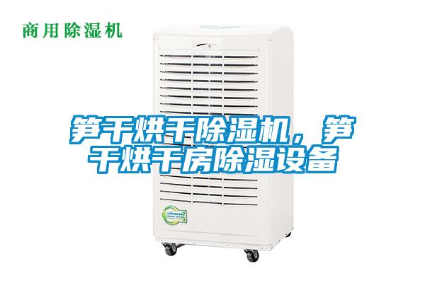 筍干烘干除濕機,筍干烘干房除濕設(shè)備