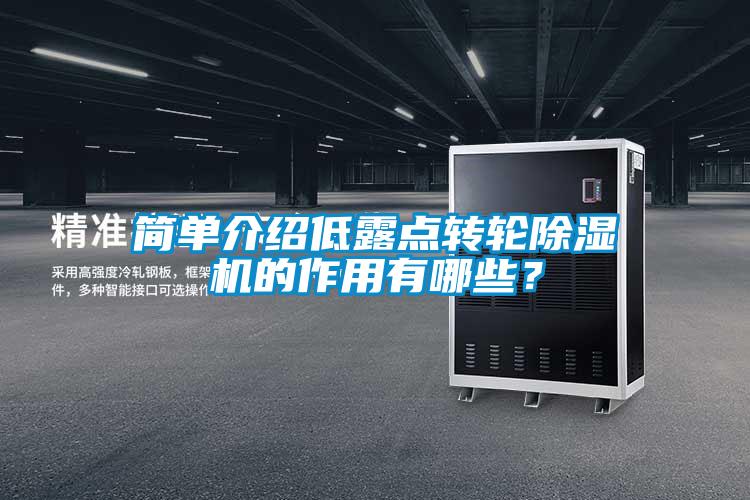 簡單介紹低露點轉(zhuǎn)輪除濕機(jī)的作用有哪些？