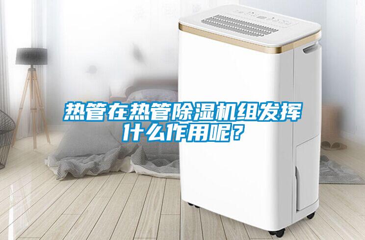 熱管在熱管除濕機(jī)組發(fā)揮什么作用呢?
