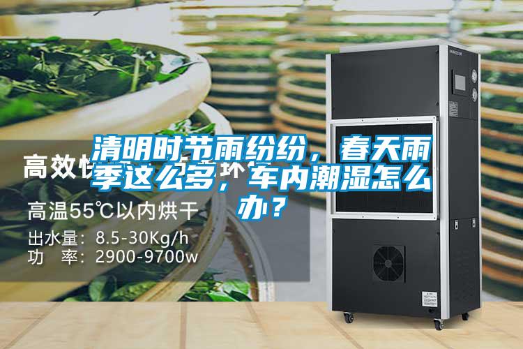 清明時(shí)節(jié)雨紛紛，春天雨季這么多，車內(nèi)潮濕怎么辦？