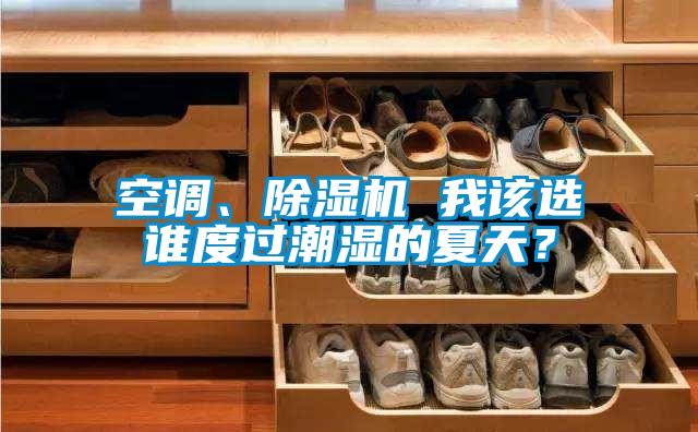 空調、除濕機 我該選誰度過潮濕的夏天?