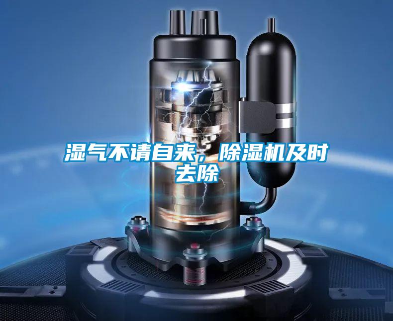 濕氣不請(qǐng)自來(lái)，除濕機(jī)及時(shí)去除