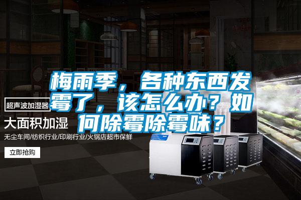 梅雨季，各種東西發霉了，該怎么辦？如何除霉除霉味？