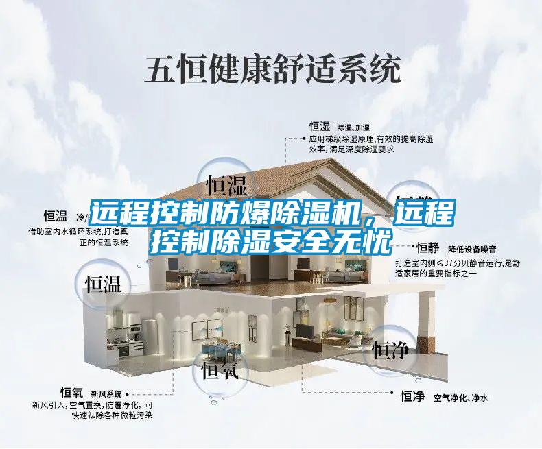 遠(yuǎn)程控制防爆除濕機(jī),遠(yuǎn)程控制除濕安全無(wú)憂(yōu)