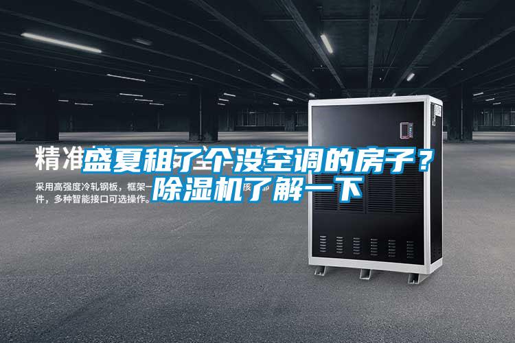 盛夏租了個沒空調(diào)的房子?除濕機了解一下