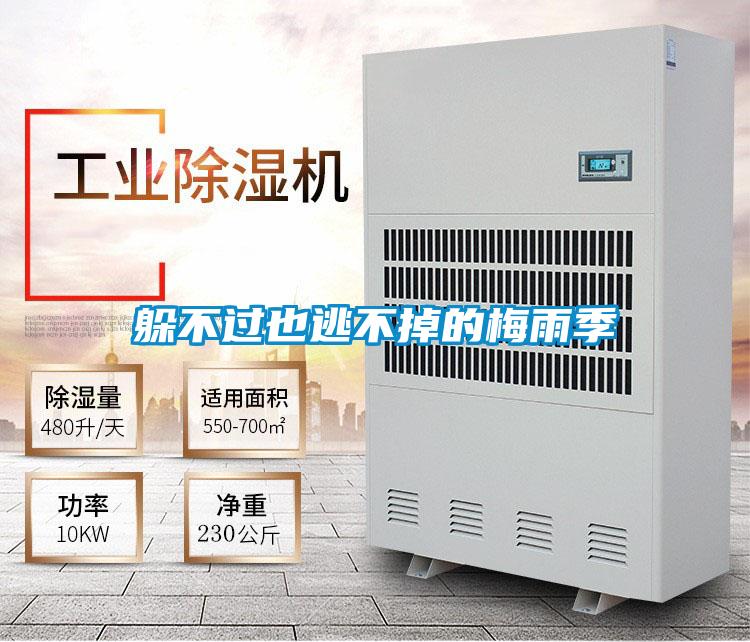 躲不過(guò)也逃不掉的梅雨季