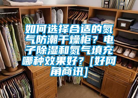 如何選擇合適的氮?dú)夥莱备稍锕?？電子除濕和氮?dú)馓畛淠姆N效果好？[好網(wǎng)角商訊]