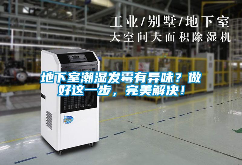 地下室潮濕發(fā)霉有異味？做好這一步，完美解決！