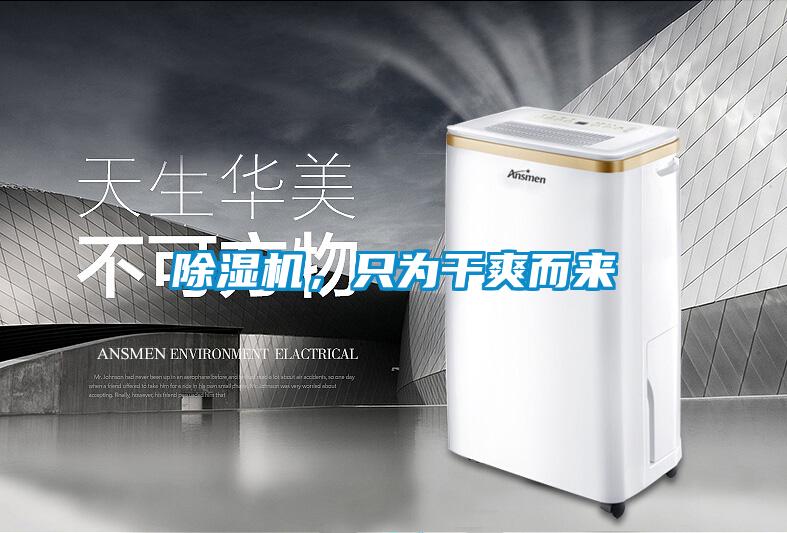 除濕機,只為干爽而來