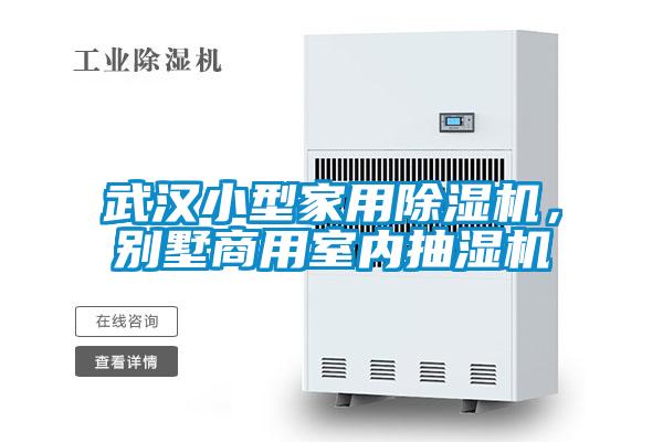 武漢小型家用除濕機,別墅商用室內(nèi)抽濕機