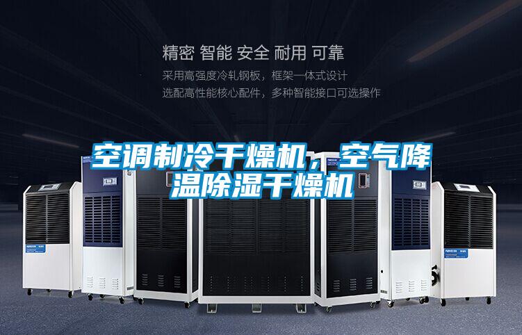 空調制冷干燥機,空氣降溫除濕干燥機