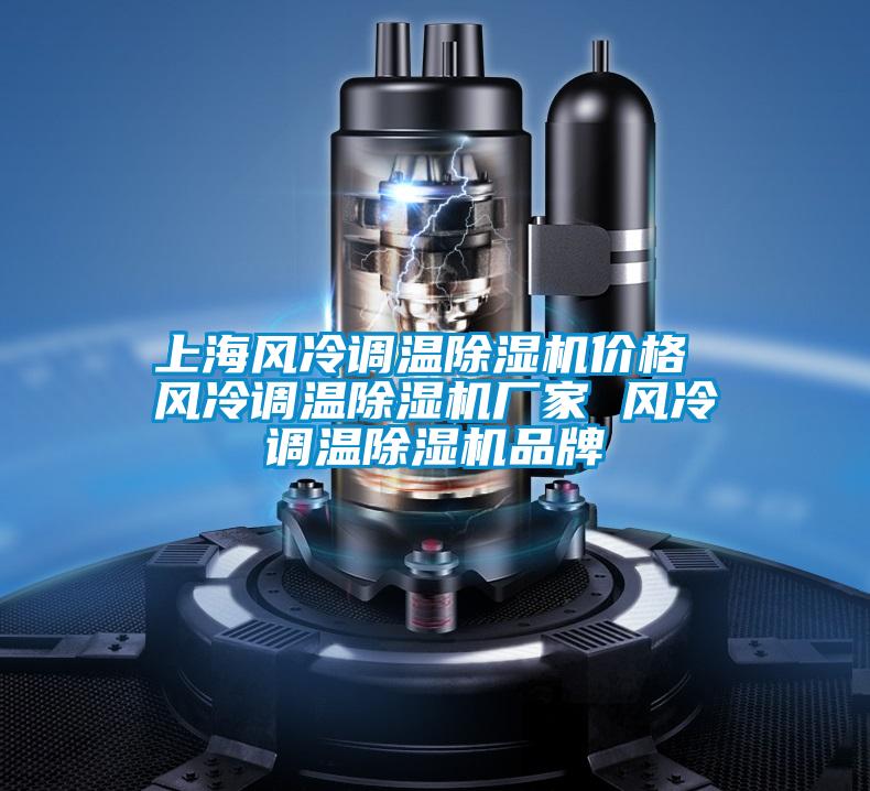 上海風(fēng)冷調(diào)溫除濕機價格 風(fēng)冷調(diào)溫除濕機廠家 風(fēng)冷調(diào)溫除濕機品牌