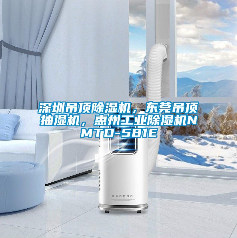 深圳吊頂除濕機,東莞吊頂抽濕機,惠州工業除濕機NMTD-581E