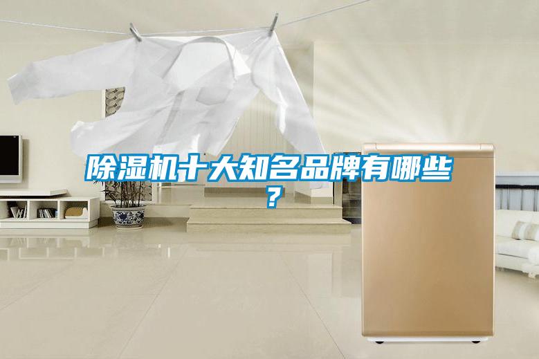 除濕機(jī)十大知名品牌有哪些?