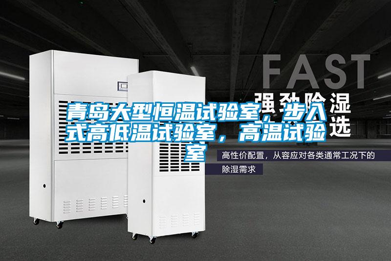 青島大型恒溫試驗室，步入式高低溫試驗室，高溫試驗室