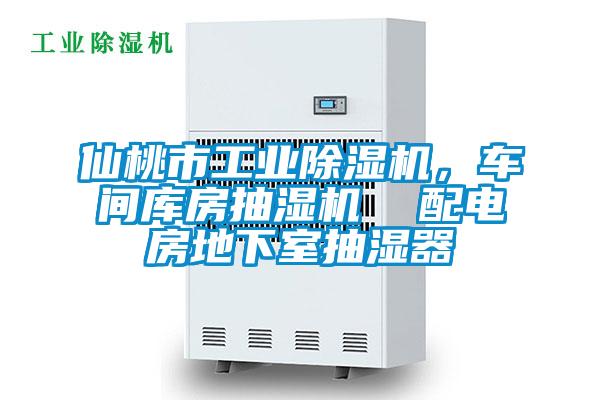 仙桃市工業(yè)除濕機(jī),車(chē)間庫(kù)房抽濕機(jī) 配電房地下室抽濕器