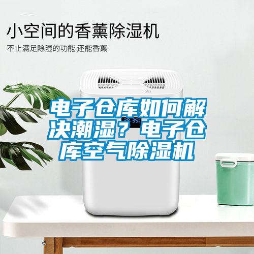 電子倉庫如何解決潮濕?電子倉庫空氣除濕機