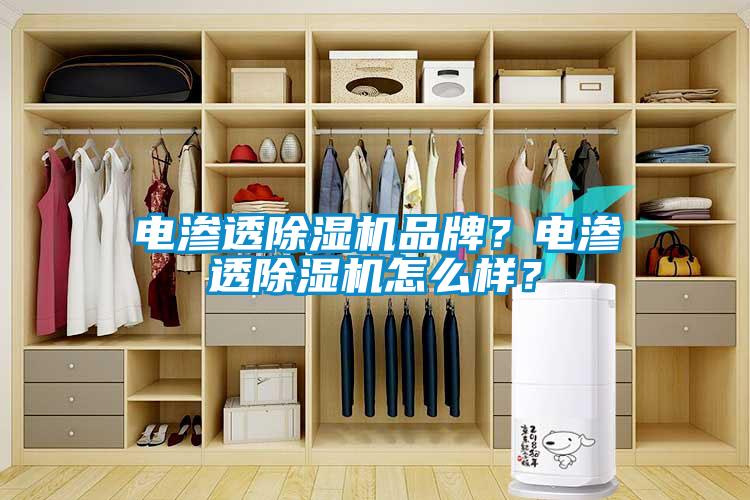 電滲透除濕機品牌?電滲透除濕機怎么樣?
