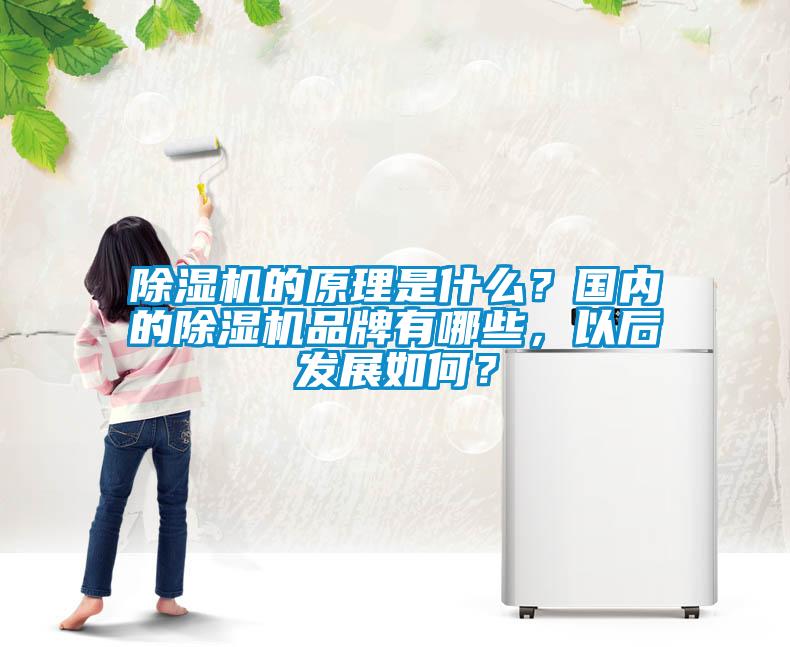 除濕機的原理是什么?國內的除濕機品牌有哪些,以后發(fā)展如何?