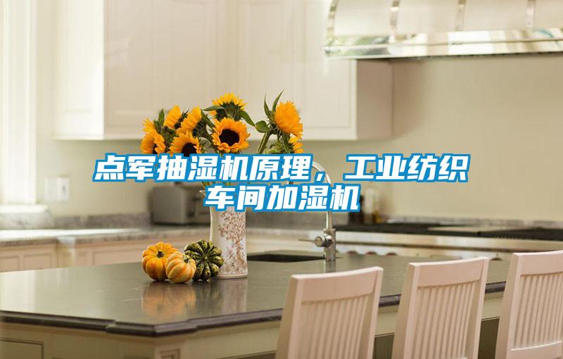 點軍抽濕機原理,工業紡織車間加濕機