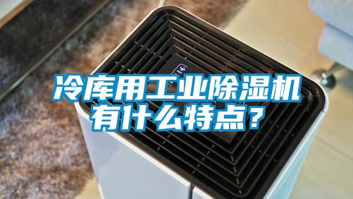 冷庫用工業(yè)除濕機(jī)有什么特點?