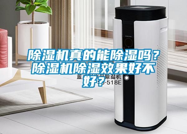 除濕機真的能除濕嗎?除濕機除濕效果好不好?