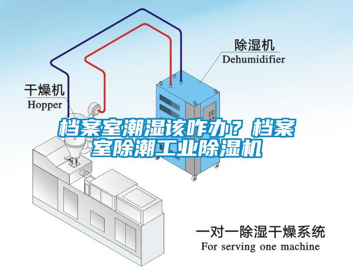 檔案室潮濕該咋辦?檔案室除潮工業除濕機