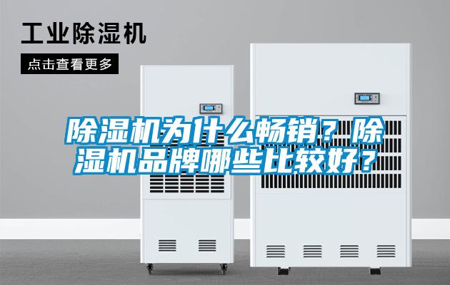 除濕機為什么暢銷?除濕機品牌哪些比較好?