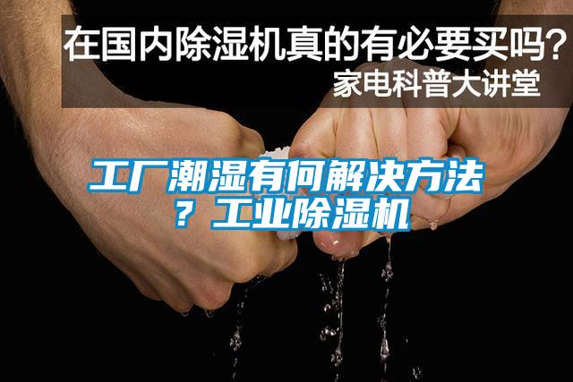 工廠潮濕有何解決方法?工業除濕機