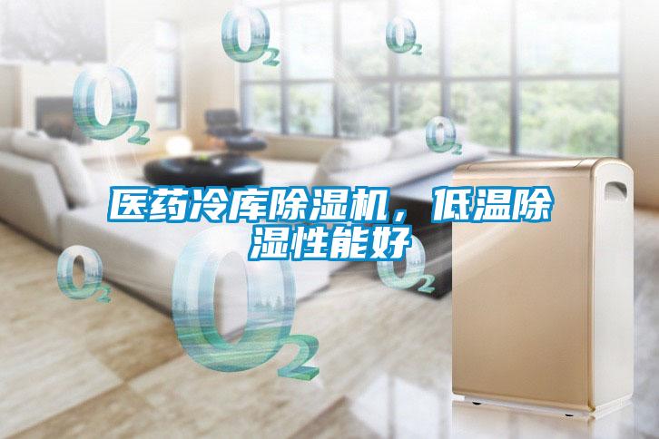 醫(yī)藥冷庫(kù)除濕機(jī)，低溫除濕性能好