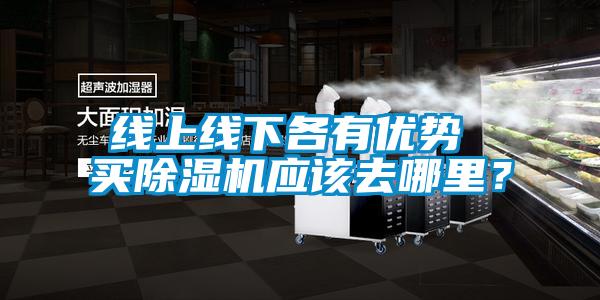線上線下各有優(yōu)勢 買除濕機應該去哪里？
