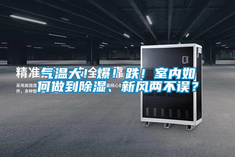 氣溫大!爆!跌!室內如何做到除濕、新風兩不誤?