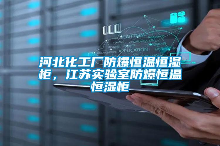 河北化工廠防爆恒溫恒濕柜，江蘇實(shí)驗室防爆恒溫恒濕柜