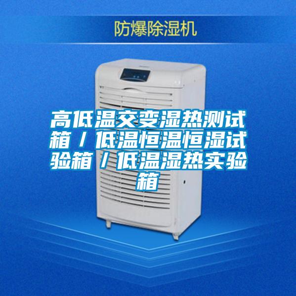 高低溫交變濕熱測試箱/低溫恒溫恒濕試驗箱/低溫濕熱實驗箱