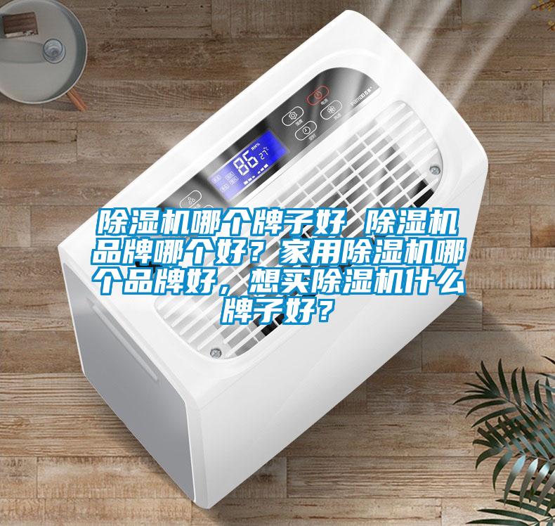 除濕機哪個牌子好 除濕機品牌哪個好？家用除濕機哪個品牌好，想買除濕機什么牌子好？