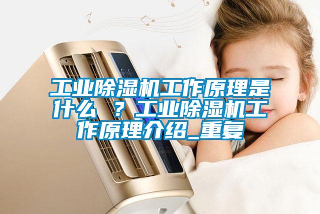 工業除濕機工作原理是什么 ？工業除濕機工作原理介紹_重復