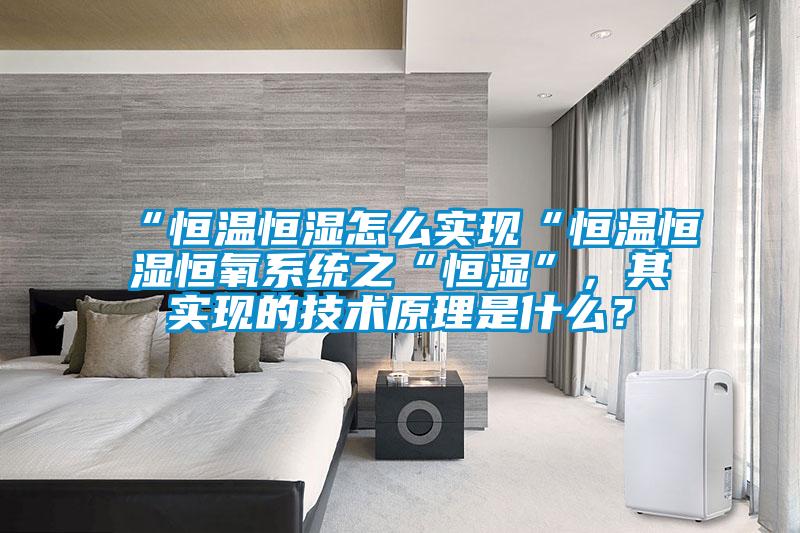 “恒溫恒濕怎么實現(xiàn)“恒溫恒濕恒氧系統(tǒng)之“恒濕”,其實現(xiàn)的技術(shù)原理是什么?