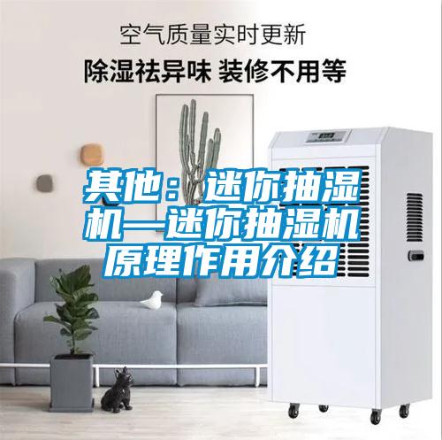 其他:迷你抽濕機—迷你抽濕機原理作用介紹
