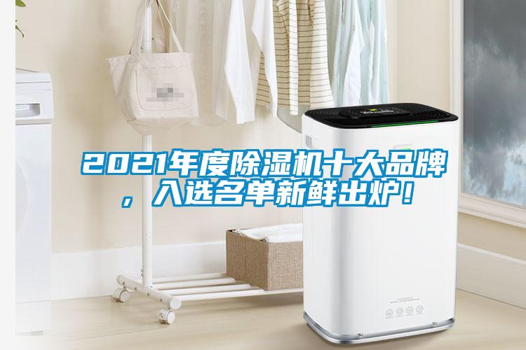 2021年度除濕機十大品牌,入選名單新鮮出爐!
