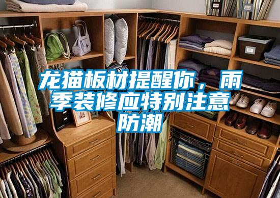 龍貓板材提醒你,雨季裝修應(yīng)特別注意防潮
