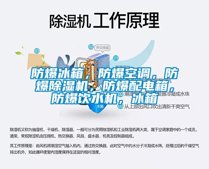 防爆冰箱，防爆空調，防爆除濕機，防爆配電箱，防爆飲水機，冰箱