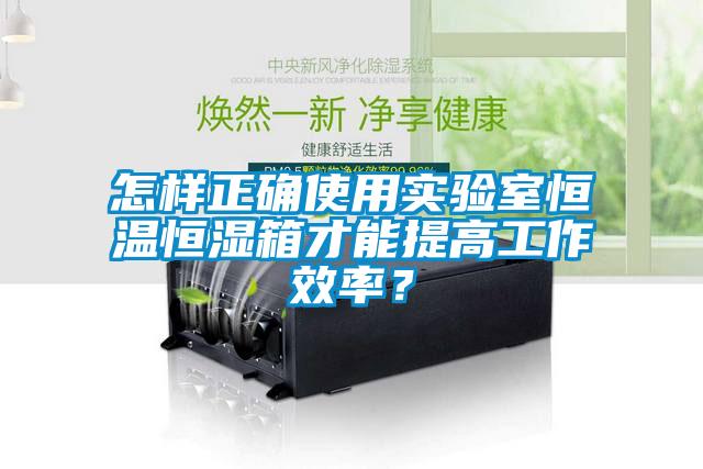 怎樣正確使用實(shí)驗(yàn)室恒溫恒濕箱才能提高工作效率？